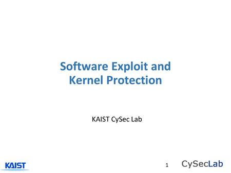 Software Exploit and Kernel Protection