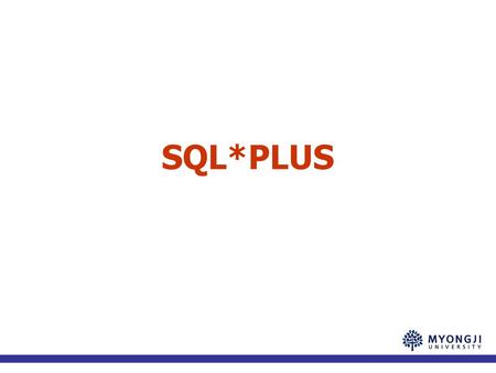 SQL*PLUS.