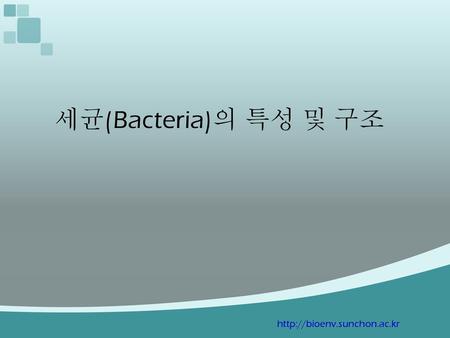 세균(Bacteria)의 특성 및 구조 http://bioenv.sunchon.ac.kr.
