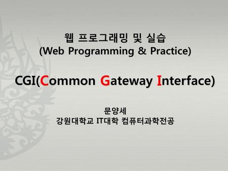 (Web Programming & Practice) CGI(Common Gateway Interface)