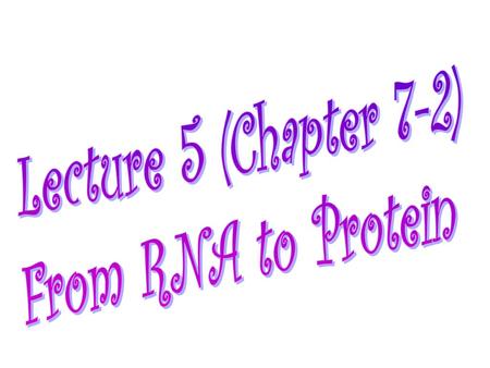 Lecture 5 (Chapter 7-2) From RNA to Protein.