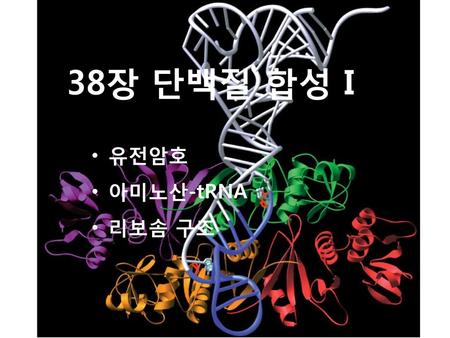 38장 단백질 합성 I 유전암호 아미노산-tRNA 리보솜 구조.