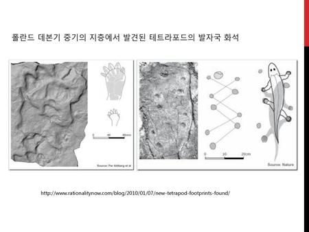 폴란드 데본기 중기의 지층에서 발견된 테트라포드의 발자국 화석