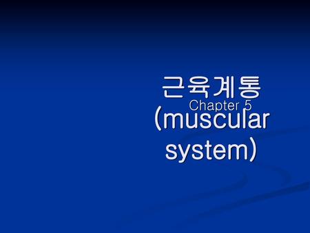 근육계통 (muscular system)