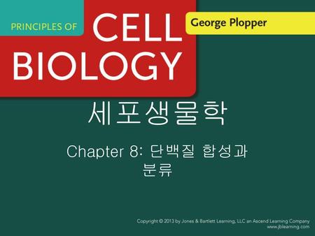 세포생물학 Chapter 8: 단백질 합성과 분류.