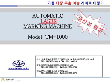 생산성 향상 AUTOMATIC LASER MARKING MACHINE Model: TM-1000