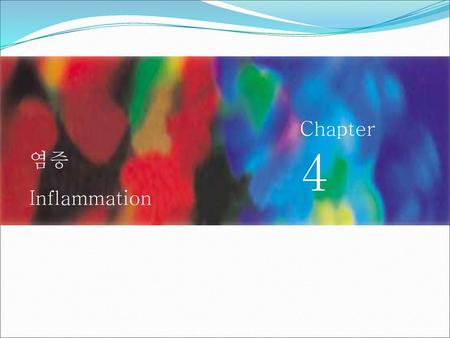 염증 Inflammation Chapter 4.