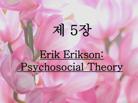 제 5장 Erik Erikson: Psychosocial Theory.