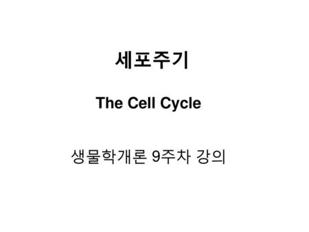 The Cell Cycle 생물학개론 9주차 강의