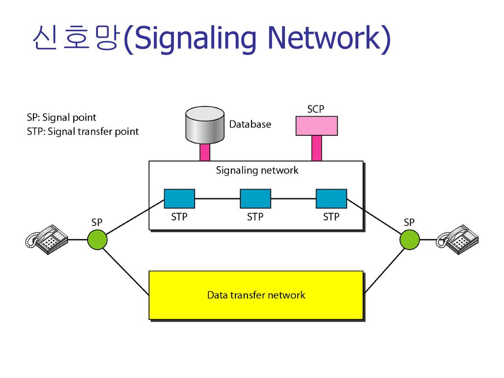 신호망(Signaling Network)