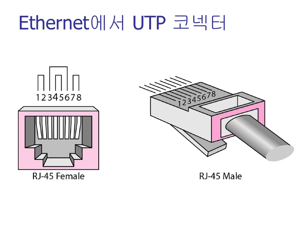 Ethernet에서 UTP 코넥터