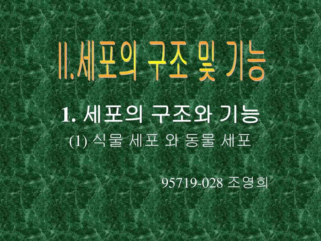 1 세포의 구조와 기능 1 식물 세포 와 동물 세포 조영희 Ppt Download