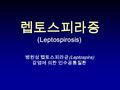 렙토스피라증 (Leptospirosis) 병원성 렙토스피라균 (Leptospira) 감염에 의한 인수공통질환.