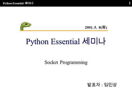 Python Essential 세미나 1 Socket Programming 발표자 : 임민상 2001. 5. 8( 화 )