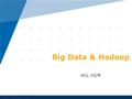 Www.company.com WCL 이민학 Big Data & Hadoop. www.company.com.