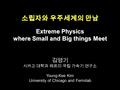 Extreme Physics where Small and Big things Meet 김영기 시카고 대학과 페르미 국립 가속기 연구소 Young-Kee Kim University of Chicago and Fermilab 소립자와 우주세계의 만남.