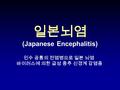 일본뇌염 (Japanese Encephalitis) 인수 공통의 전염병으로 일본 뇌염 바이러스에 의한 급성 중추 신경계 감염증.