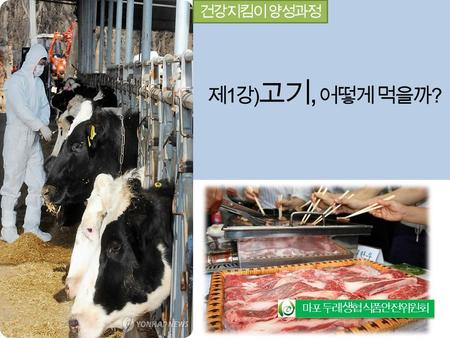 건강지킴이 양성과정 마포 두레 생협 식품안전위원회 제 1 강 ) 고기, 어떻게 먹을까 ?.