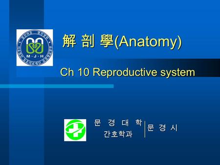 문경대학문경시 간호학과 解 剖 學 (Anatomy) Ch 10 Reproductive system.