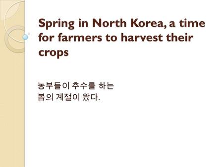 Spring in North Korea, a time for farmers to harvest their crops 농부들이 추수를 하는 봄의 계절이 왔다.