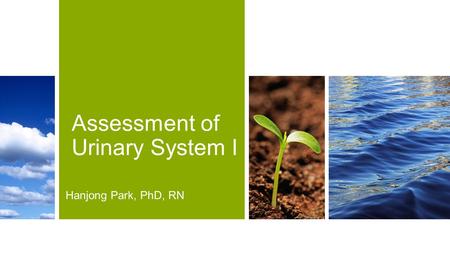 Assessment of Urinary System I Hanjong Park, PhD, RN.
