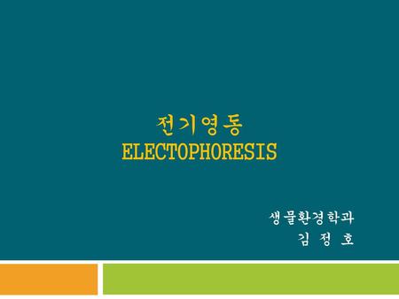 전기영동 ELECTOPHORESIS 생물환경학과 김 정 호.