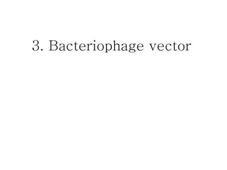 3. Bacteriophage vector.