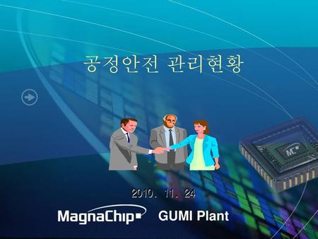 공정안전 관리현황 2010. 11. 24 GUMI Plant.