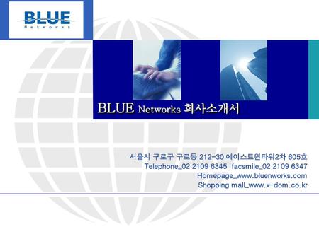 BLUE Networks 회사소개서 서울시 구로구 구로동 에이스트윈타워2차 605호