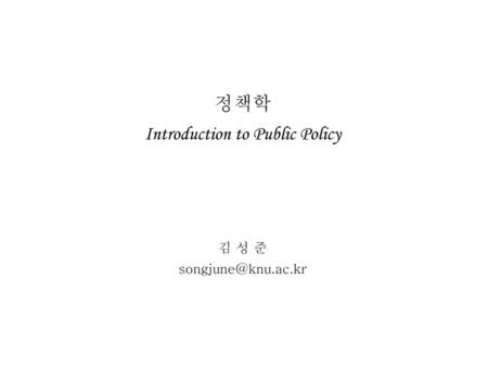 정책학 Introduction to Public Policy 김 성 준