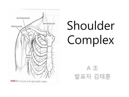 Shoulder Complex A 조 발표자 김태훈.