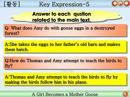 [활동] Key Expression-5 Answer to each qustion related to the main text.