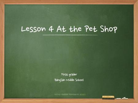 Lesson 4 At the Pet Shop First grader BangSan Middle School