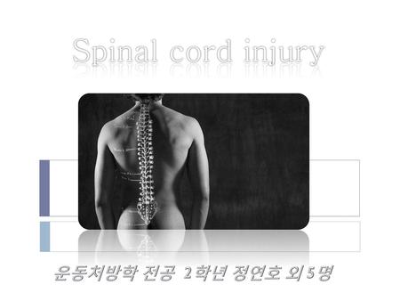 Spinal cord injury 운동처방학 전공 2학년 정연호 외 5명