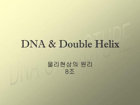 DNA & Double Helix 물리현상의 원리 8조.