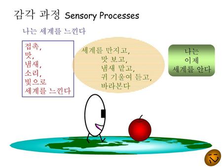 감각 과정 Sensory Processes