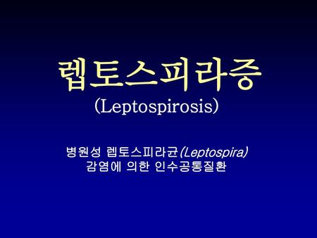 병원성 렙토스피라균(Leptospira)