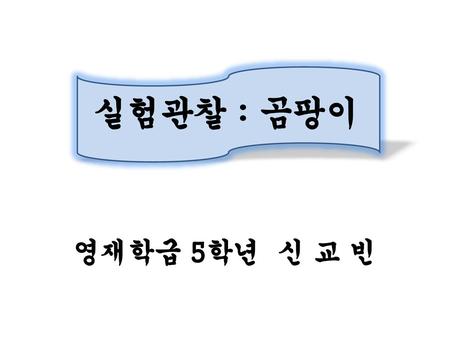 실험관찰 : 곰팡이 영재학급 5학년 신 교 빈.