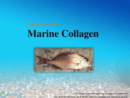 Seafood for your skin Marine Collagen.