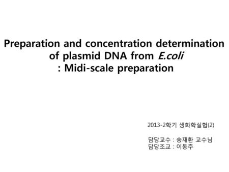 Preparation and concentration determination of plasmid DNA from E.coli