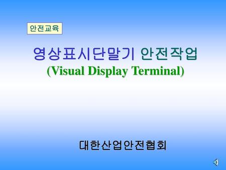 (Visual Display Terminal)