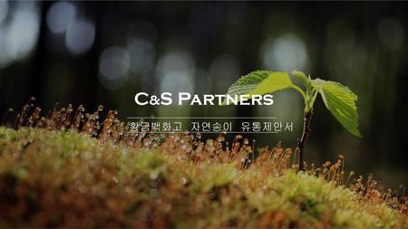 C&S Partners 황금백화고 자연송이 유통제안서.