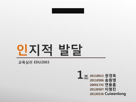 인지적 발달 1조 교육심리 EDU 권경욱 송원영 연용흠