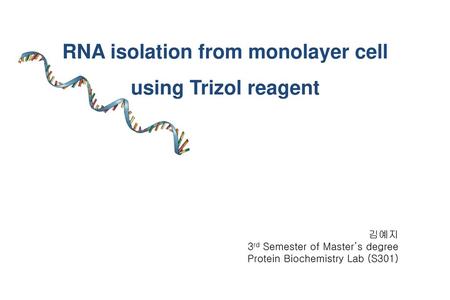RNA isolation from monolayer cell