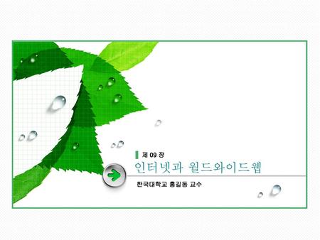 제 09 장 인터넷과 월드와이드웹 한국대학교 홍길동 교수.