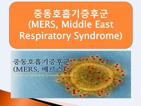 (MERS, Middle East Respiratory Syndrome)