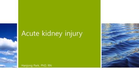 Acute kidney injury . Hanjong Park, PhD, RN