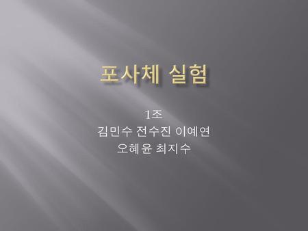 포사체 실험 1조 김민수 전수진 이예연 오혜윤 최지수.