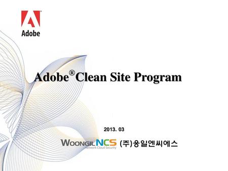 Adobe®Clean Site Program