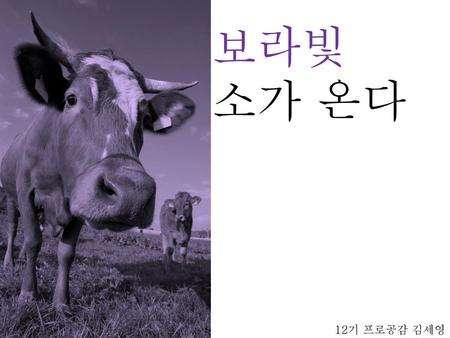보라빛 소가 온다 12기 프로공감 김세영.